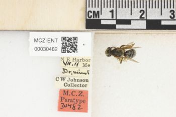 Media type: image;   Entomology 30482 Aspect: Labels